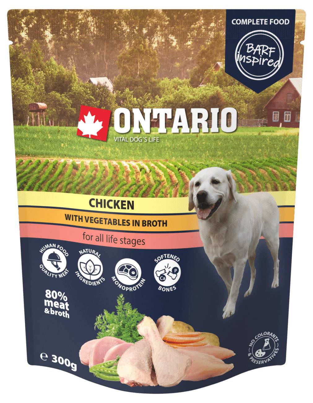 Ontario kapsička kuracie zelenina vo vývare 300 g