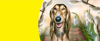 Super zoo - Sleva 10 % při nákupu nad 1500 Kč