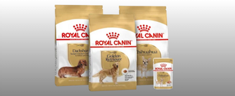Zoohit.sk - Royal Canin