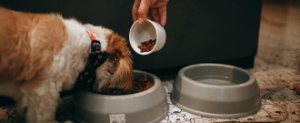 PetCenter.sk - Doprava zadarmo pri nákupe za min. 60 €