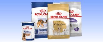 Zoohit.sk - Zľava až 20 % na krmiva Royal Canin