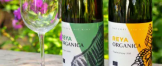 Wineplanet.sk - Slovenské vína v Black Week ŠTART!