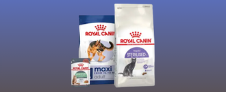 Zoohit.sk - Až 15 % zľava na vybrané krmivo Royal Canin