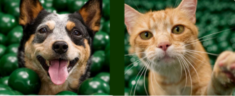 Zoohit.sk - Black Friday: Zľava až 40 %