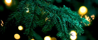 Yves-Rocher.sk - Zľava 40 % na produkty označené Santom