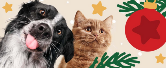 Zoohit.cz - Vánoční trh: Slevy až 20 %