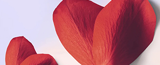 ALTEVITA - Doprava zadarmo pri nákupe nad 49 €