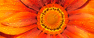 Yves-Rocher.sk - Výpredajové zľavy až 50 %