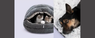 Zoohit.cz - Rozveselte svého chlupáče: Sleva až 40 %