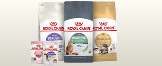 Zoohit.sk - Zľava až 30 % na vybrané krmivá Royal Canin pre mačky