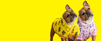 Superzoo.sk - Týždeň lásky aj pre vašich domácich miláčikov