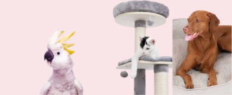 Zoohit.sk - Zľava až 20 % na najobľúbenejšie produkty