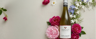 Wineplanet.sk - Zľava 20% k MDŽ na vína, rum a gin