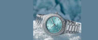 Hodinky.cz - Hodinky Bering 