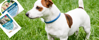 BENU.cz - Antiparazitika pro vaše mazlíčky za akční ceny!