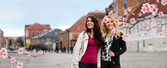 Lelosi.sk - AK26 - Lelosi