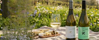 Wineplanet.sk - Šieste víno Nichta ZADARMO