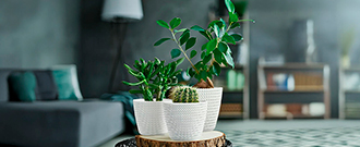 Vitapur - Sleva 250 Kč