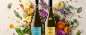 Wineplanet.sk - Prosecco -35 % 
