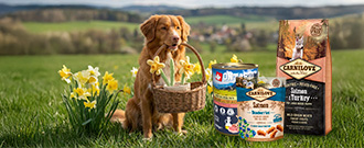 Super zoo - Výprodej