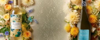 Wineplanet.cz - Vybrané vína se slevou až do -35 %