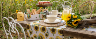 Alapointe.cz - Stylová dekorace pro váš dům i zahradu!