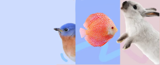 Zoohit.sk - Všetko pre našich najmenších miláčikov - Zľava až 20 %