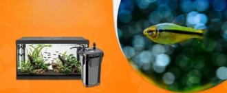 Abc-zoo.sk - Zľava 15 % na všetko pre akváriá