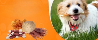 Abc-zoo.sk - Zľava 20 % na doplnkové krmivo pre psov