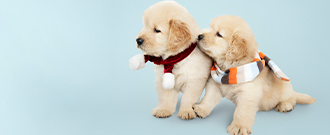 Dobrá-miska.sk - Akcia mesiaca