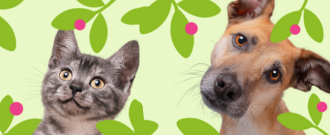 Zoohit.cz - Jarní slevy až 40 %