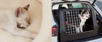 Zoohit.cz - Pelíšky a přepravky se slevou až 25 %