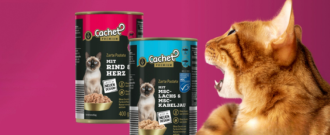 Pet-market.sk - Deň Mačiek 