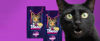 Pet-market.sk - Medzinárodný deň čiernych mačiek