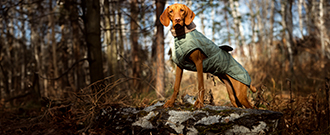 Superzoo.sk - Doprava zadarmo pri nákupe nad 19 €