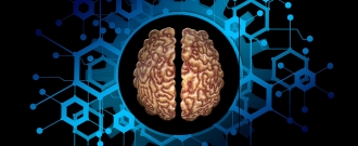Brain market - Brain Week pre podporu vášho mozgou