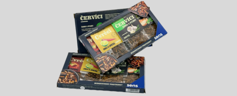 Cvrčci a červíci na chuť