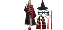 Kostým Harry Potter