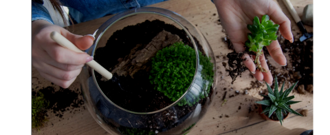 Zelená terapie: výroba mechária, aerária nebo kokedamy